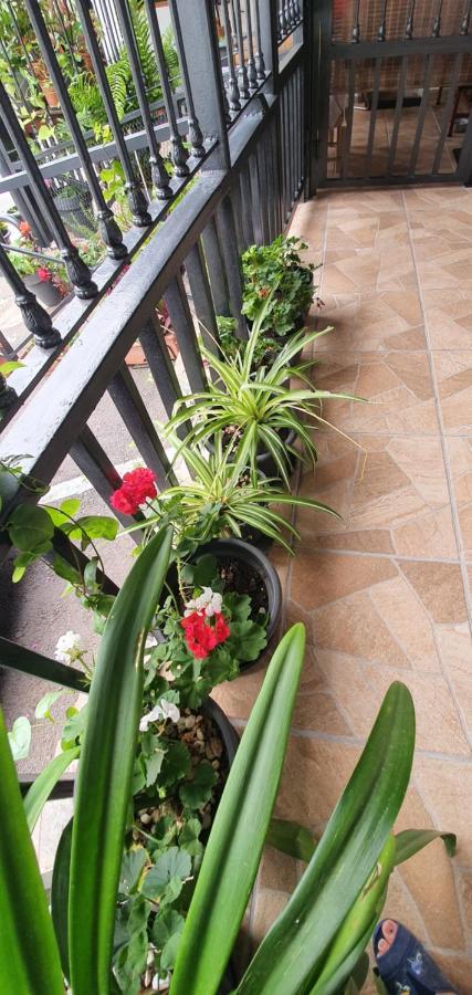 Casa Rural El Puente Taganana Ngoại thất bức ảnh