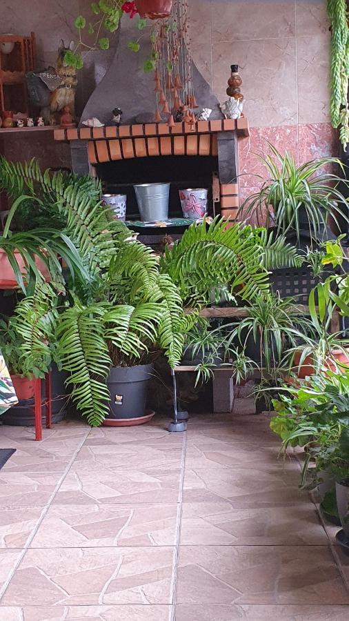 Casa Rural El Puente Taganana Ngoại thất bức ảnh